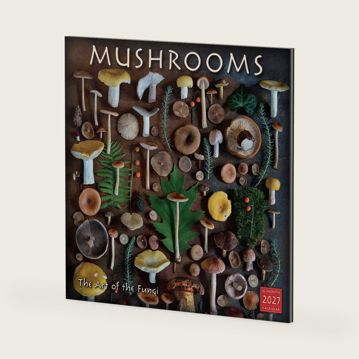Mushrooms 2027 Wall Calendar, 16-Month Botanical & Nature Photography Calendar: The Art of the Fungi by Moritz Schmid, 12" × 12"