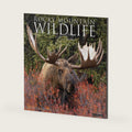 Willow Creek Press, Rocky Mountain Wildlife 2027 Wall Calendar