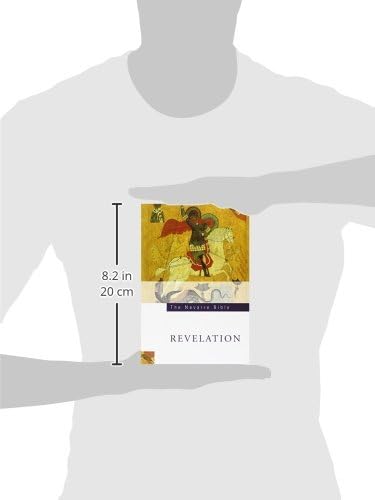 The Navarre Bible: The Revelation to John (The Apocalypse): Second Edition by Four Courts Press