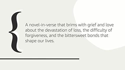 Clap When You Land: A Gripping YA Contemporary Novel of Family Secrets and Sisterhood by Elizabeth Acevedo