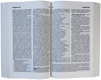 La Biblia Católica: Tapa blanda, tamaño grande, letra grande. Rústica, roja / Catholic Bible (Spanish Edition) by Biblia de América