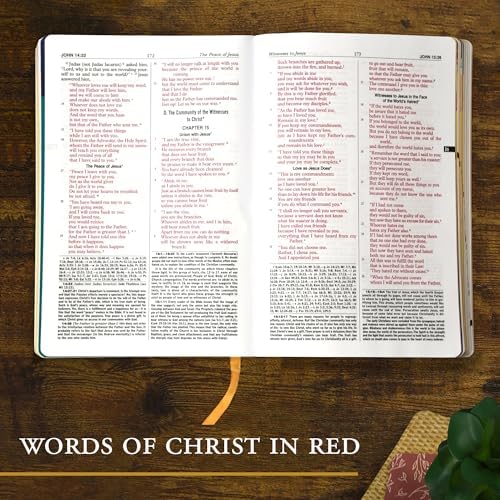 New Catholic Bible for Youth [Paperback] Catholic Book Publishing Corp by Catholic Book Publishing Corp