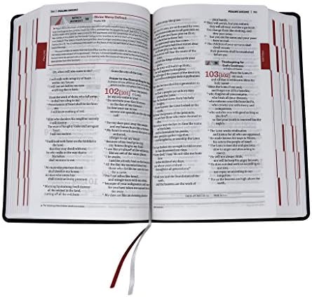 Holy Bible: Divine Mercy Catholic Bible by MIC Rev. Chris Alar