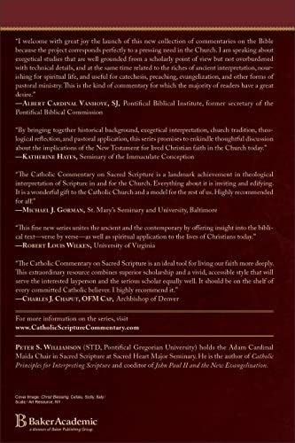 Ephesians: A Catholic Bible Commentary on the New Testament by Trusted Biblical Scholars | CCSS (Catholic Commentary on Sacred Scripture) by Peter S. Williamson