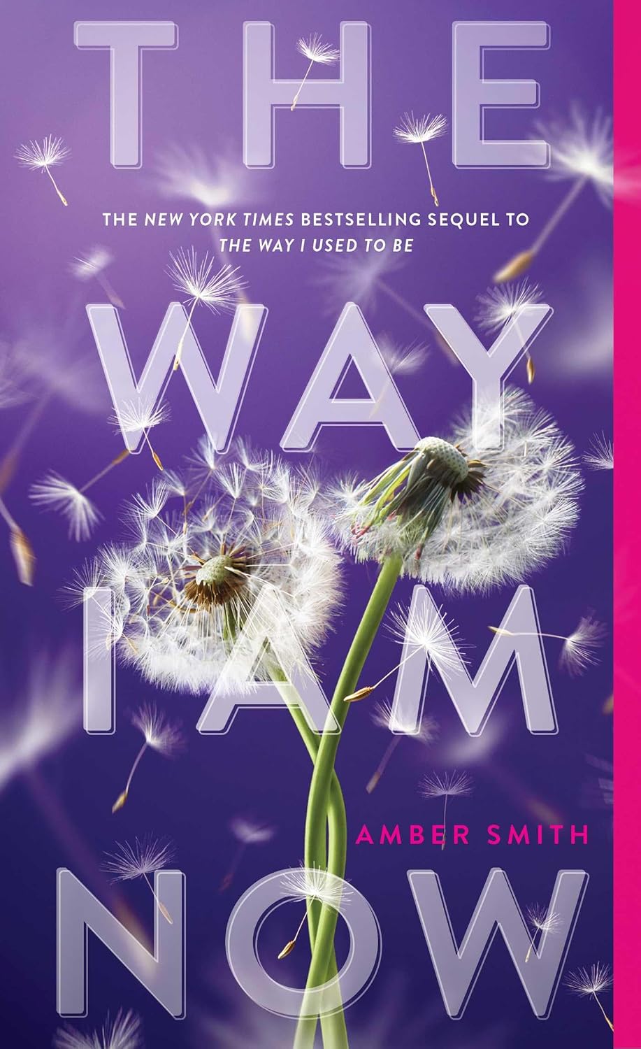 The Way I Am Now (The Way I Used to Be) by Amber Smith