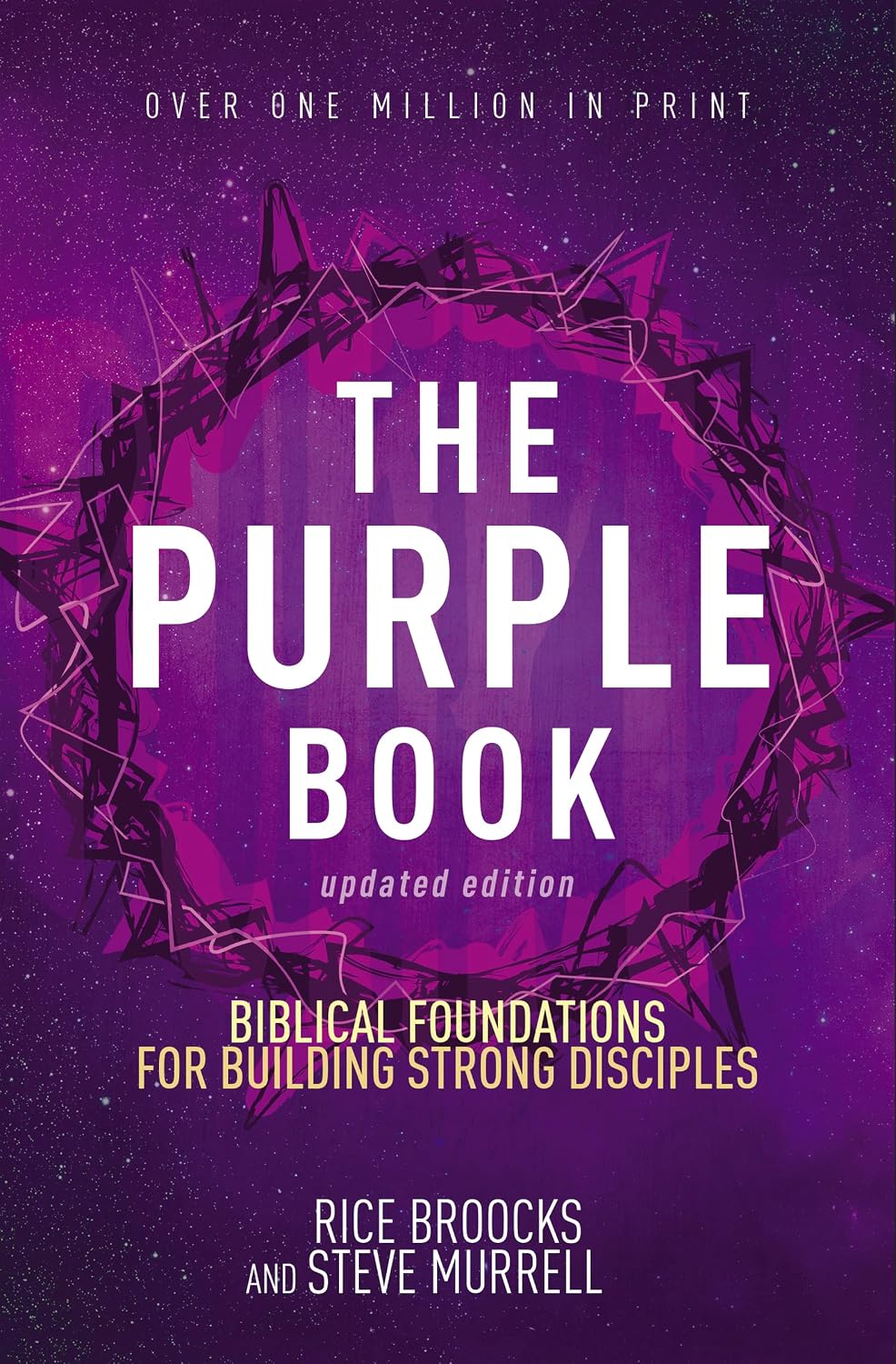 The Purple Book, Updated Edition: Biblical Foundations for Building Strong Disciples by Rice Broocks
