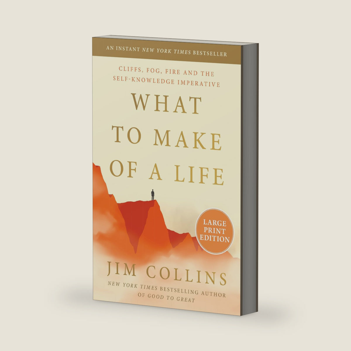 What to Make of a Life: Cliffs, Fog, Fire and the Self-Knowledge Imperative by Jim Collins