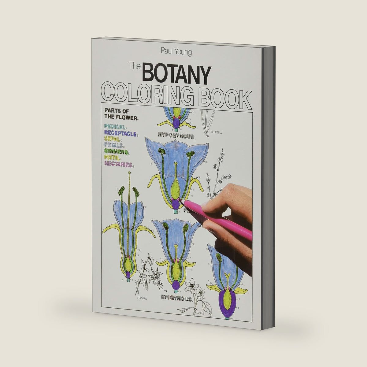 The Botany Coloring Book by Paul Young