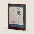 Prealgebra (Case Binding) by Elayn Martin-Gay