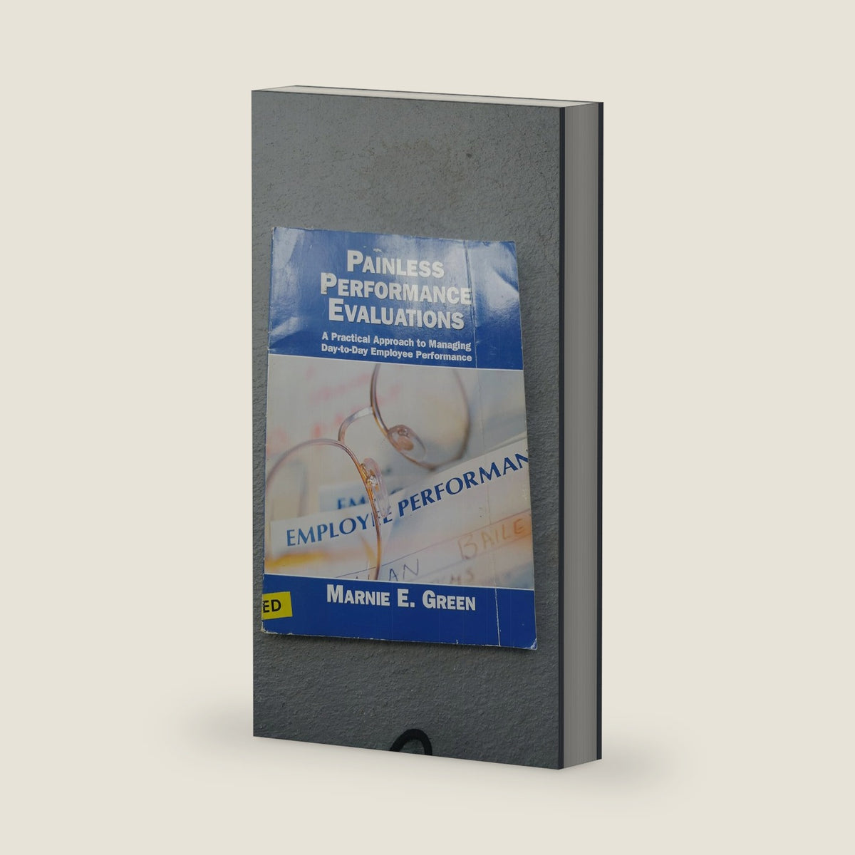 Painless Performance Evaluations (Neteffect) by Marnie Green