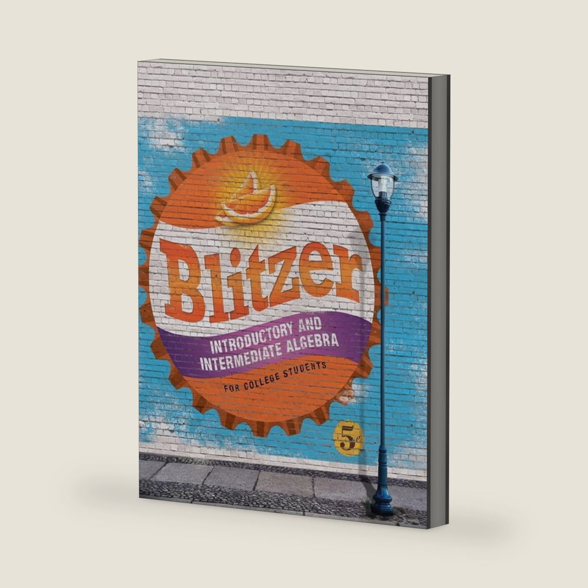 Introductory and Intermediate Algebra for College Students by Robert Blitzer
