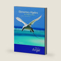Elementary Algebra Early Graphing for College Students by Allen R. Angel