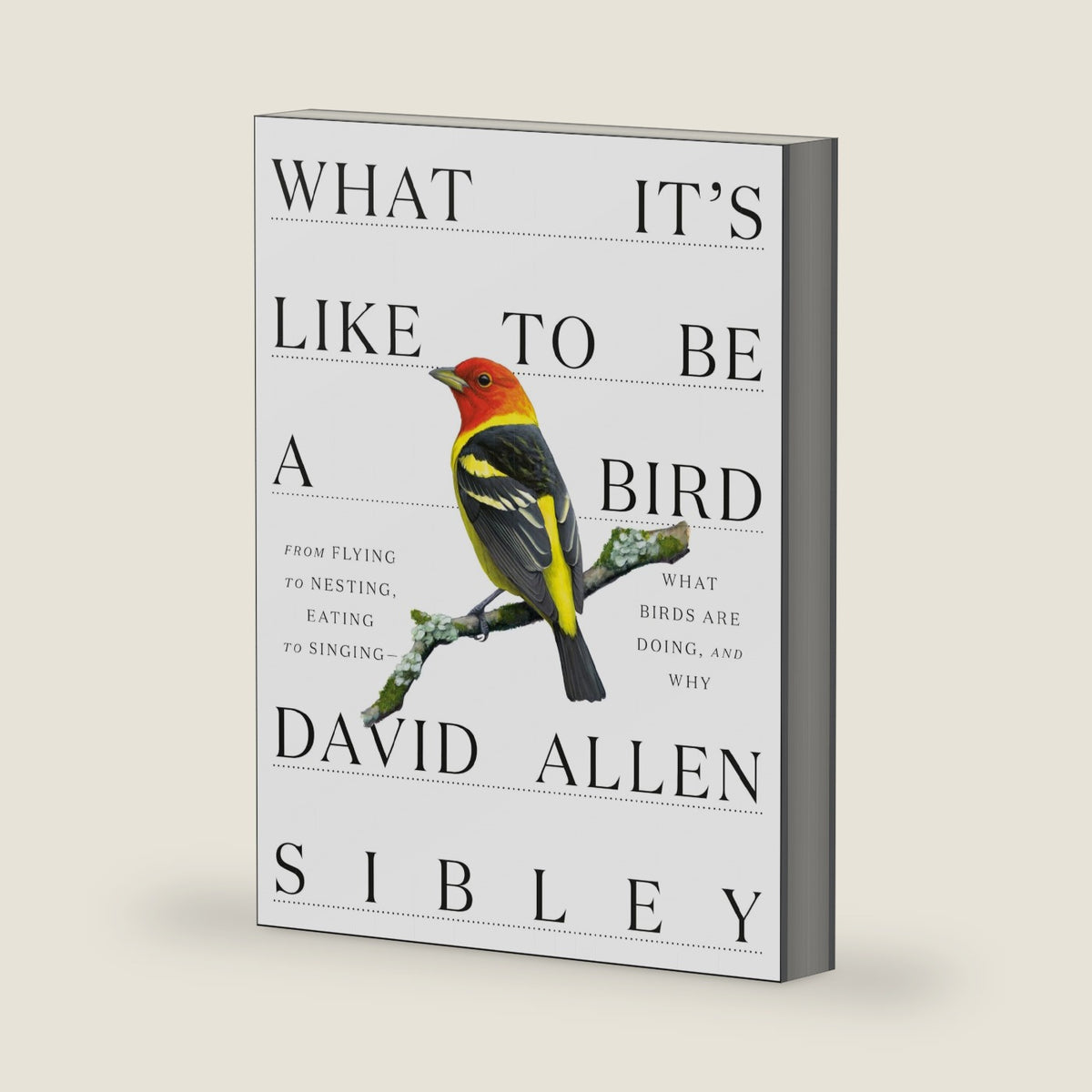 What It's Like to Be a Bird: From Flying to Nesting, Eating to Singing--What Birds Are Doing, and Why (Sibley Guides) by David Allen Sibley