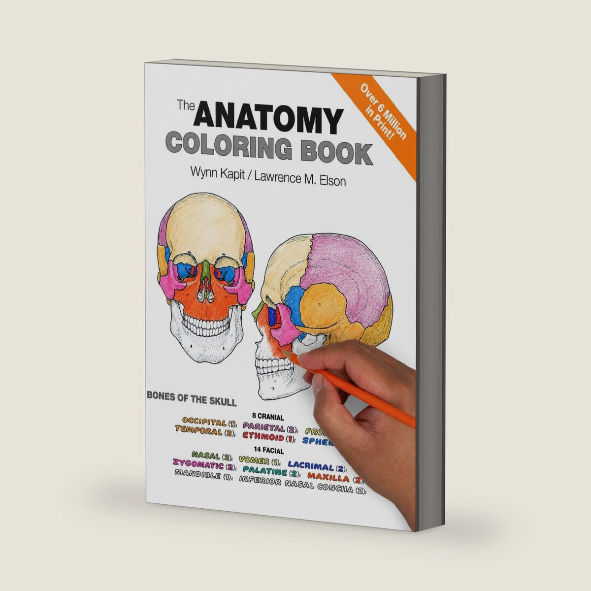 Anatomy Coloring Book, The by Wynn Kapit