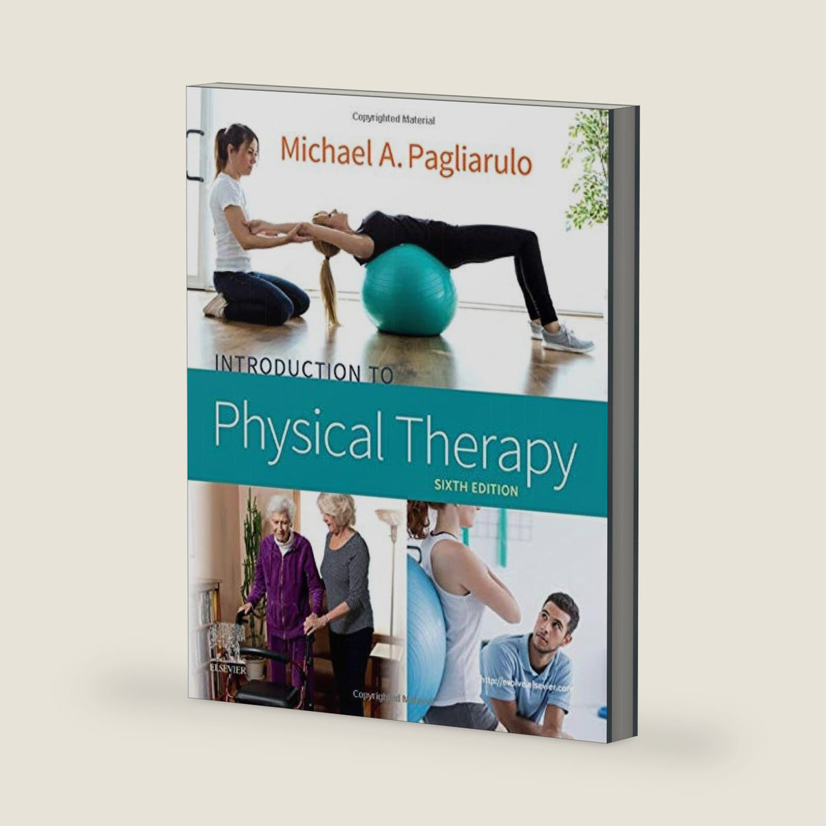 Introduction to Physical Therapy by Michael A. Pagliarulo PT MA BA BS EdD