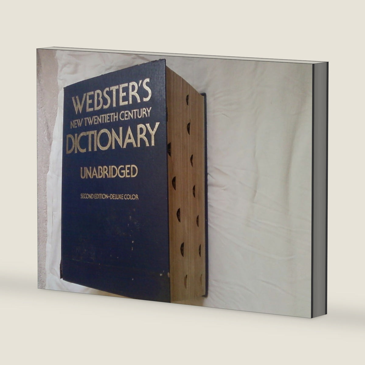 Webster's New Twentieth Century Dictionary (Unabridged) from Hibiscus Express (U by NOAH WEBSTER L.L.D.