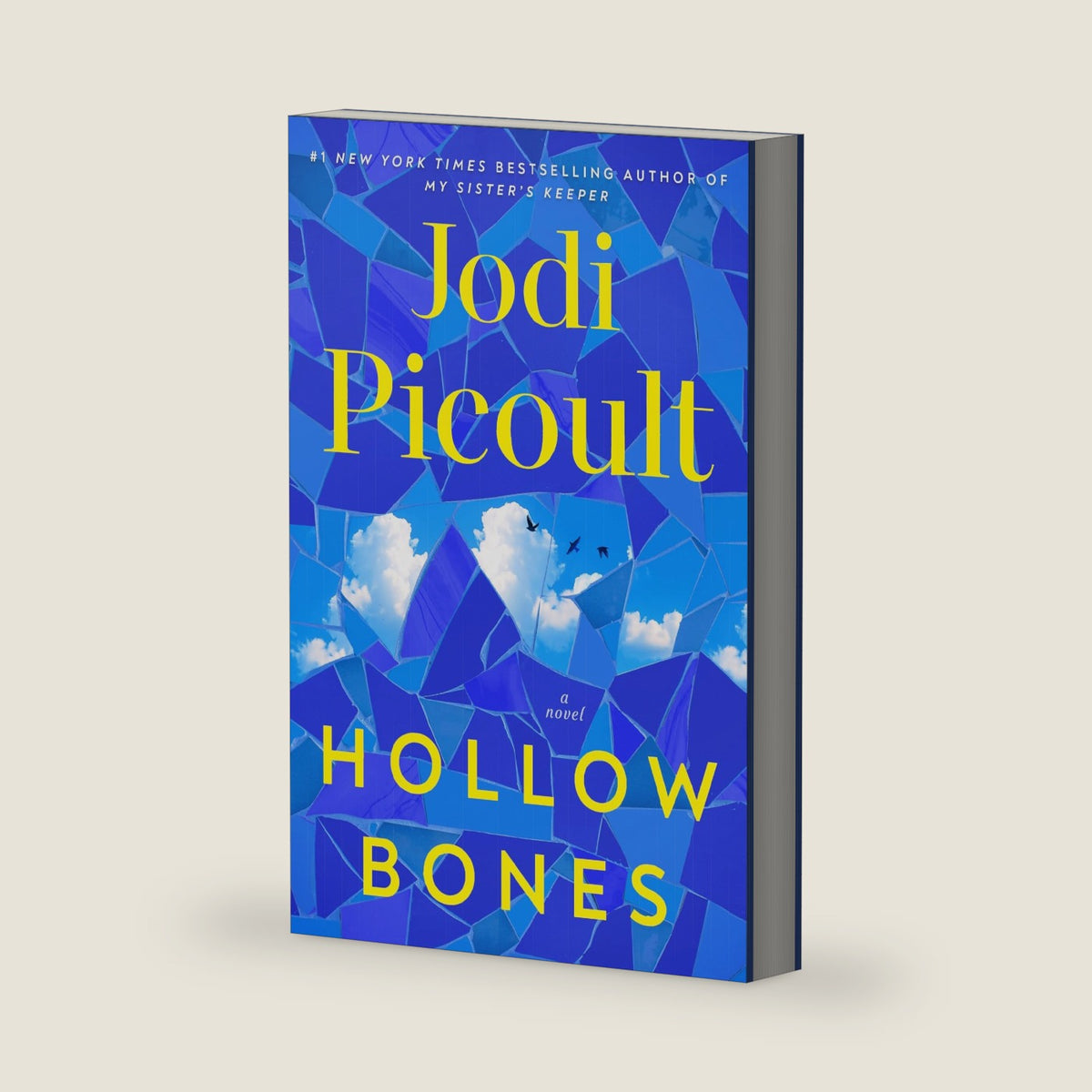 Hollow Bones: A Novel by Jodi Picoult