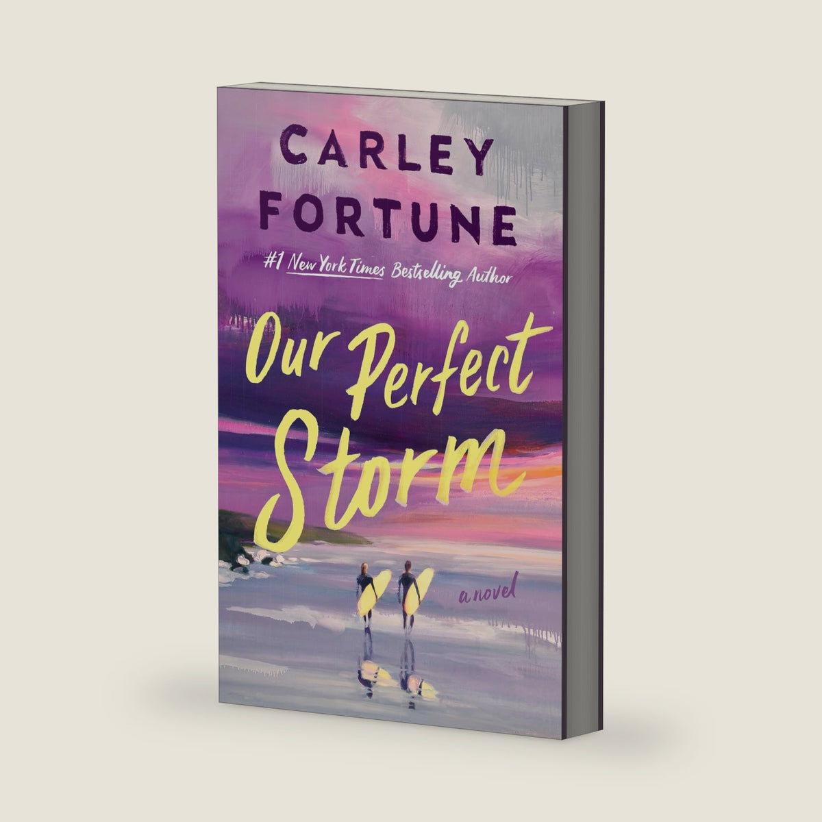 Our Perfect Storm by Carley Fortune