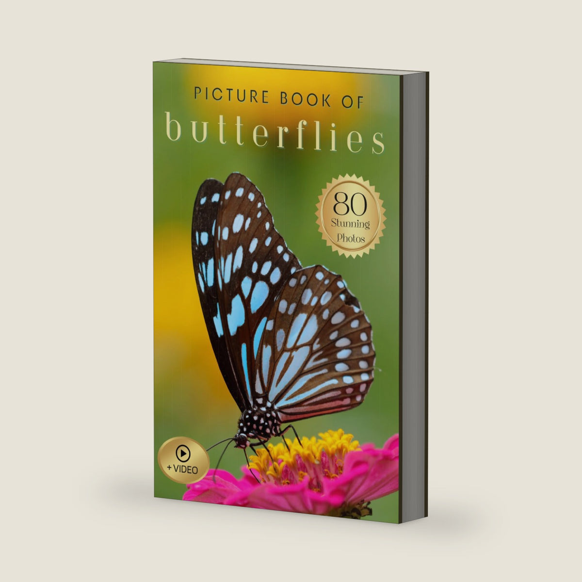 Picture Book of Butterflies: 80 Stunning Photos & Facts with Video, for Dementia Patients and Seniors with Alzheimer's (Uplifting Picture Books) by Silver Dove