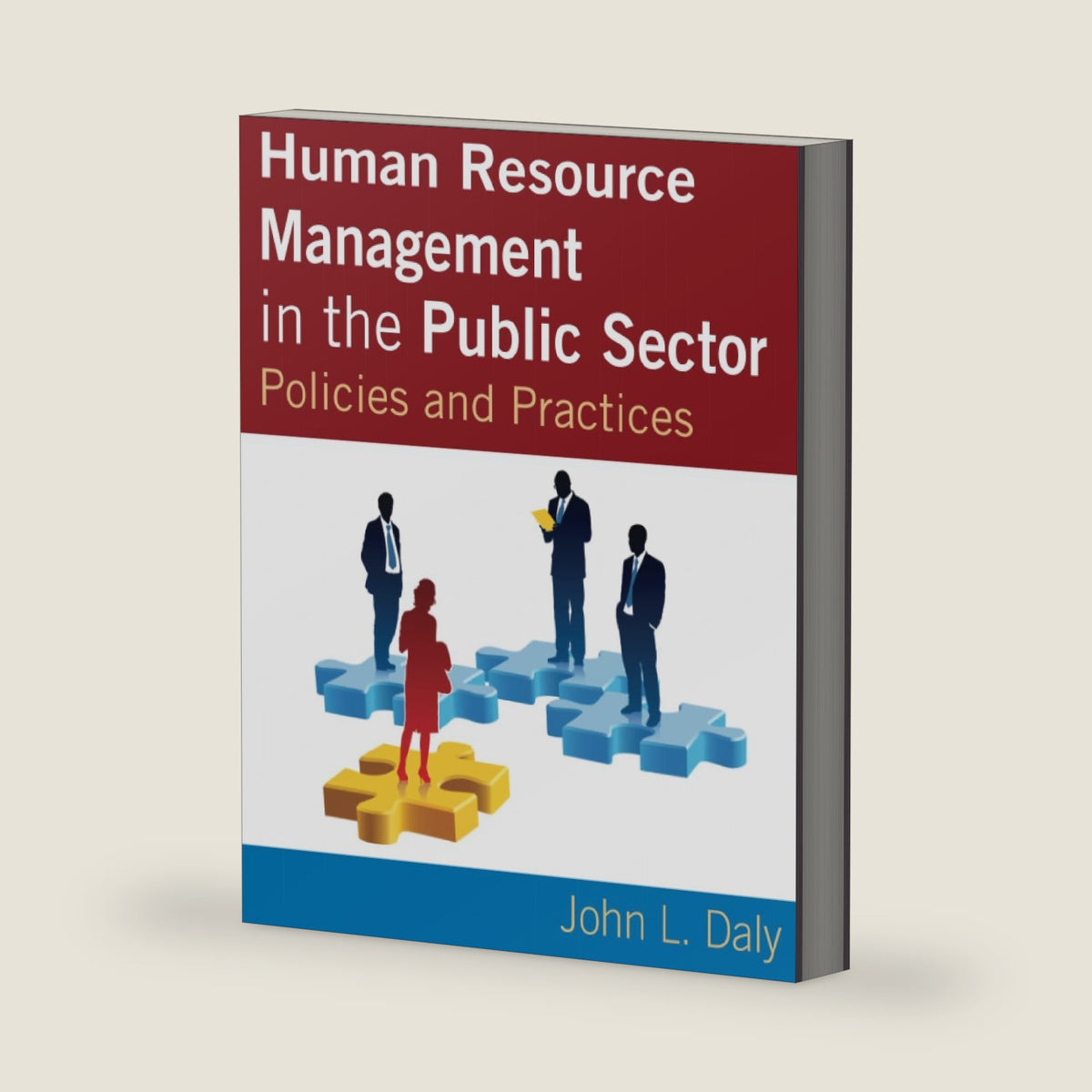 Human Resource Management in the Public Sector by John Daly