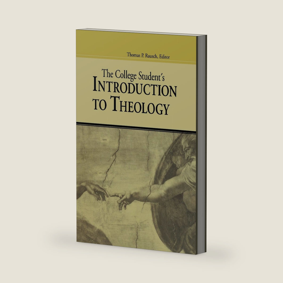 The College Student's Introduction To Theology by Thomas P. Rausch