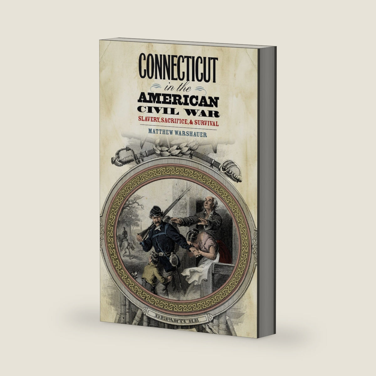 Connecticut in the American Civil War: Slavery, Sacrifice, and Survival (The Driftless Connecticut Series & Garnet Books) by Matthew Warshauer