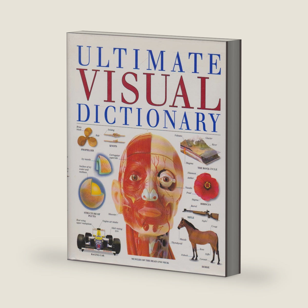 Ultimate Visual Dictionary by DK Publishing