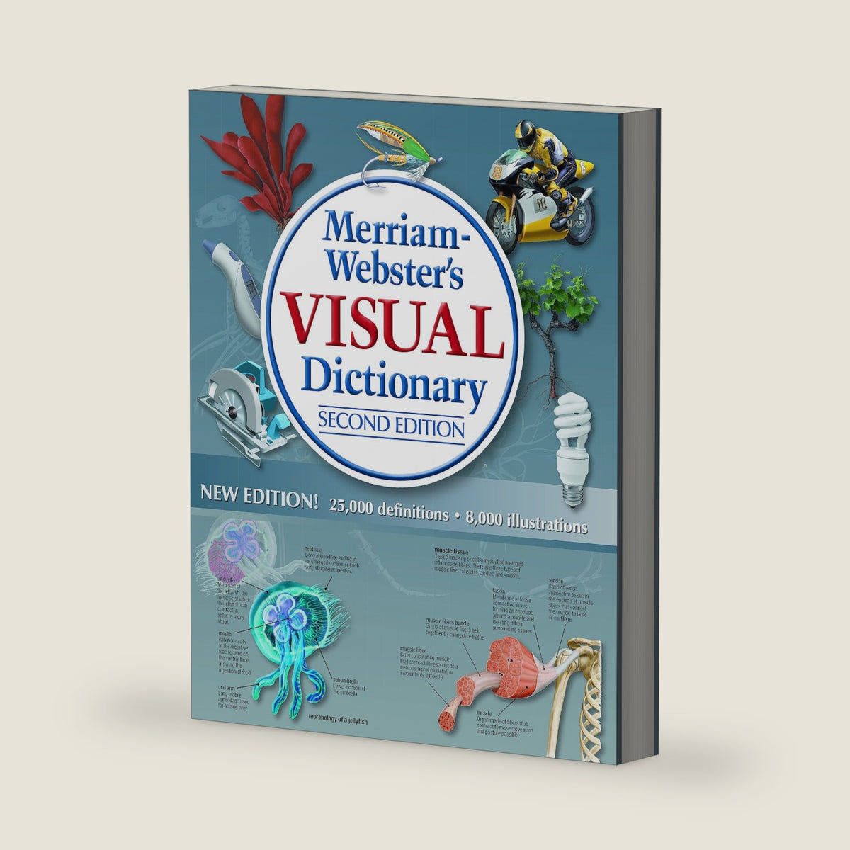 Merriam-Webster’s Visual Dictionary: Second Edition - Newest Edition: Second Edition by Merriam-Webster