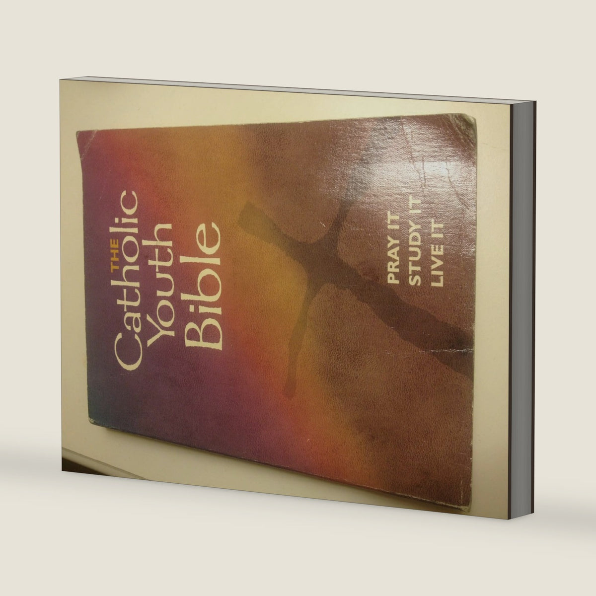 The Catholic Youth Bible: New Revised Standard Version : Catholic Edition by Saint Mary's Press