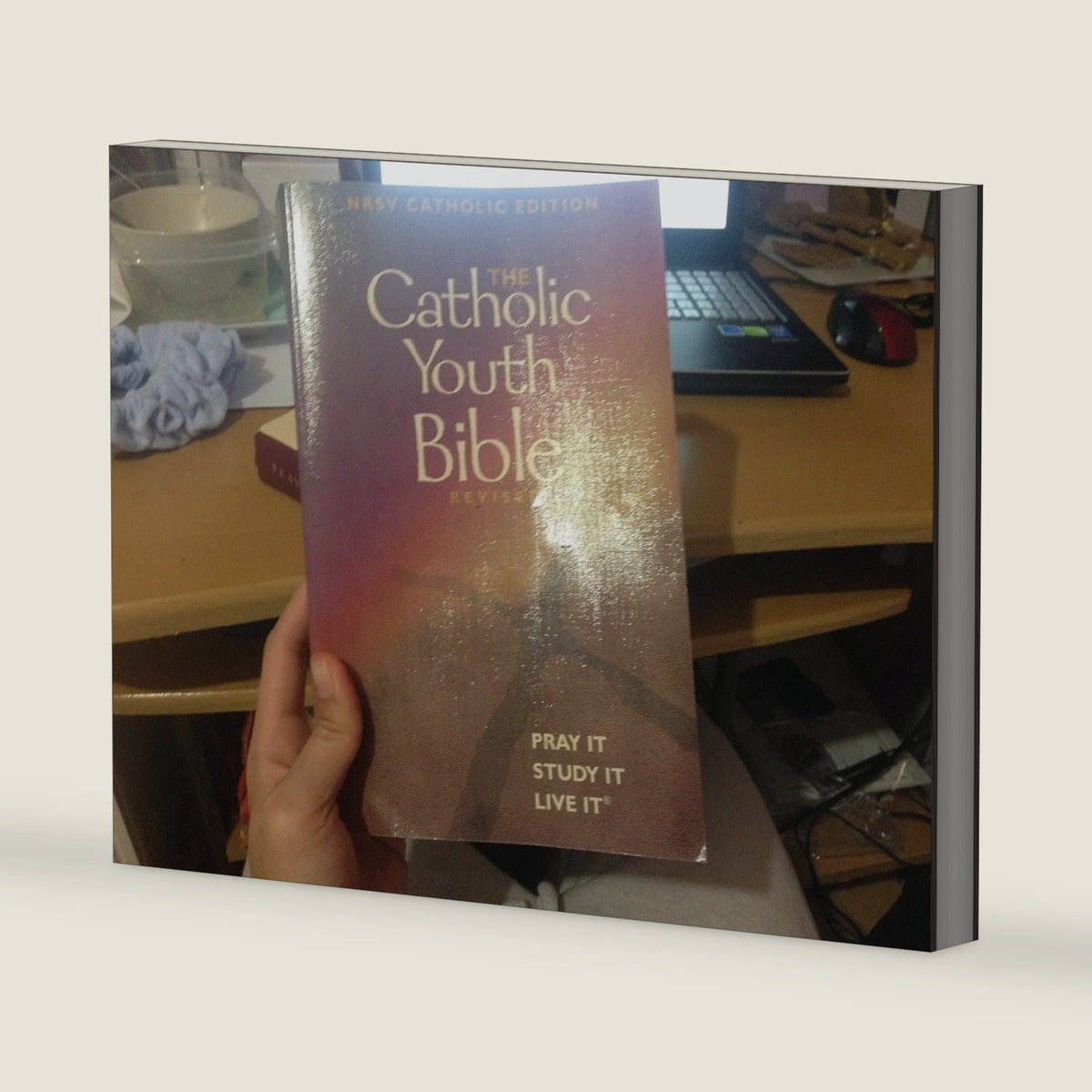 The Catholic Youth Bible® Revised by Brian Singer-Towns