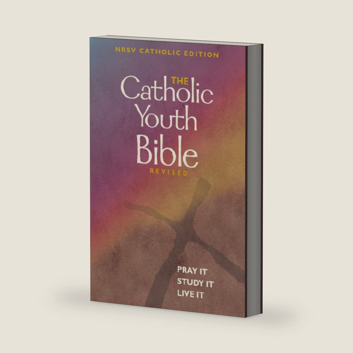 Catholic Youth Bible: New Revised Standard Version by Brian Singer-Towns