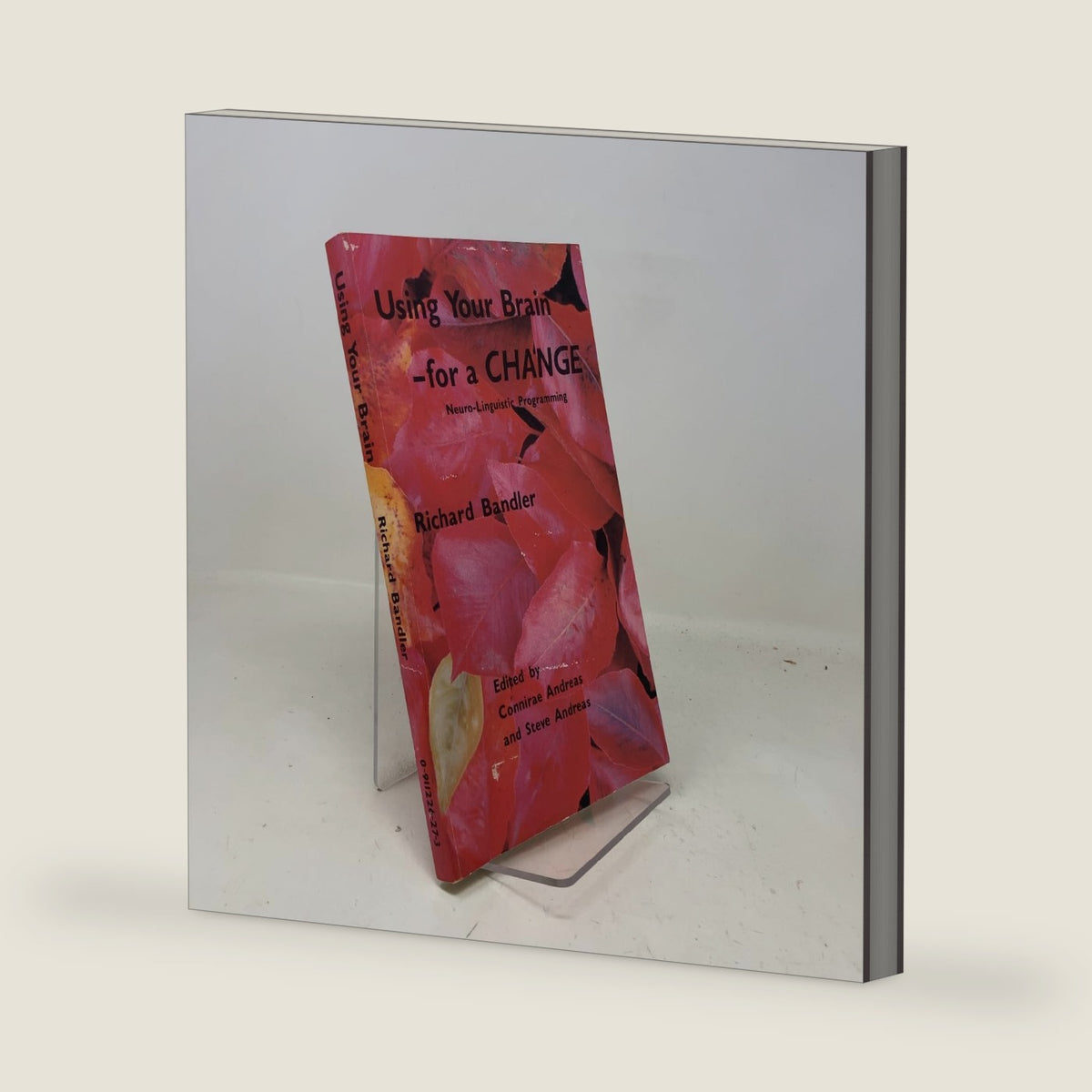 Using Your Brain--For a Change: Neuro-Linguistic Programming by Richard Bandler