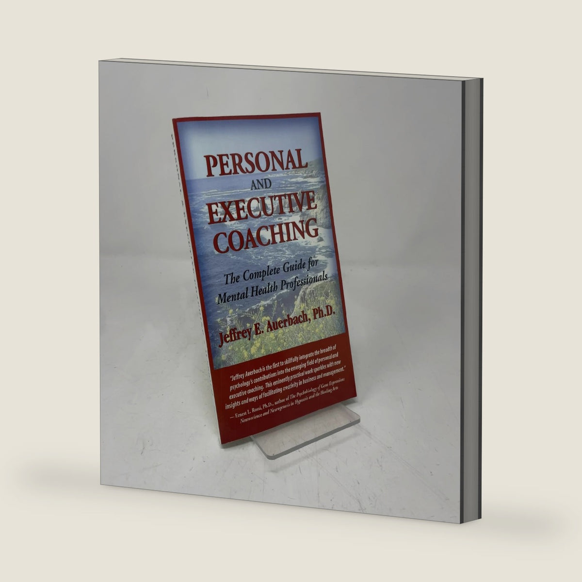 Personal and Executive Coaching: The Complete Guide for Mental Health Professionals by Jeffrey E. Auerbach