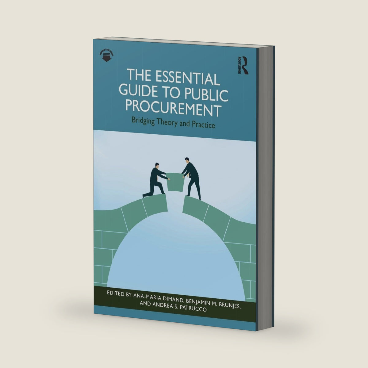 The Essential Guide to Public Procurement: Bridging Theory and Practice by Ana-Maria Dimand