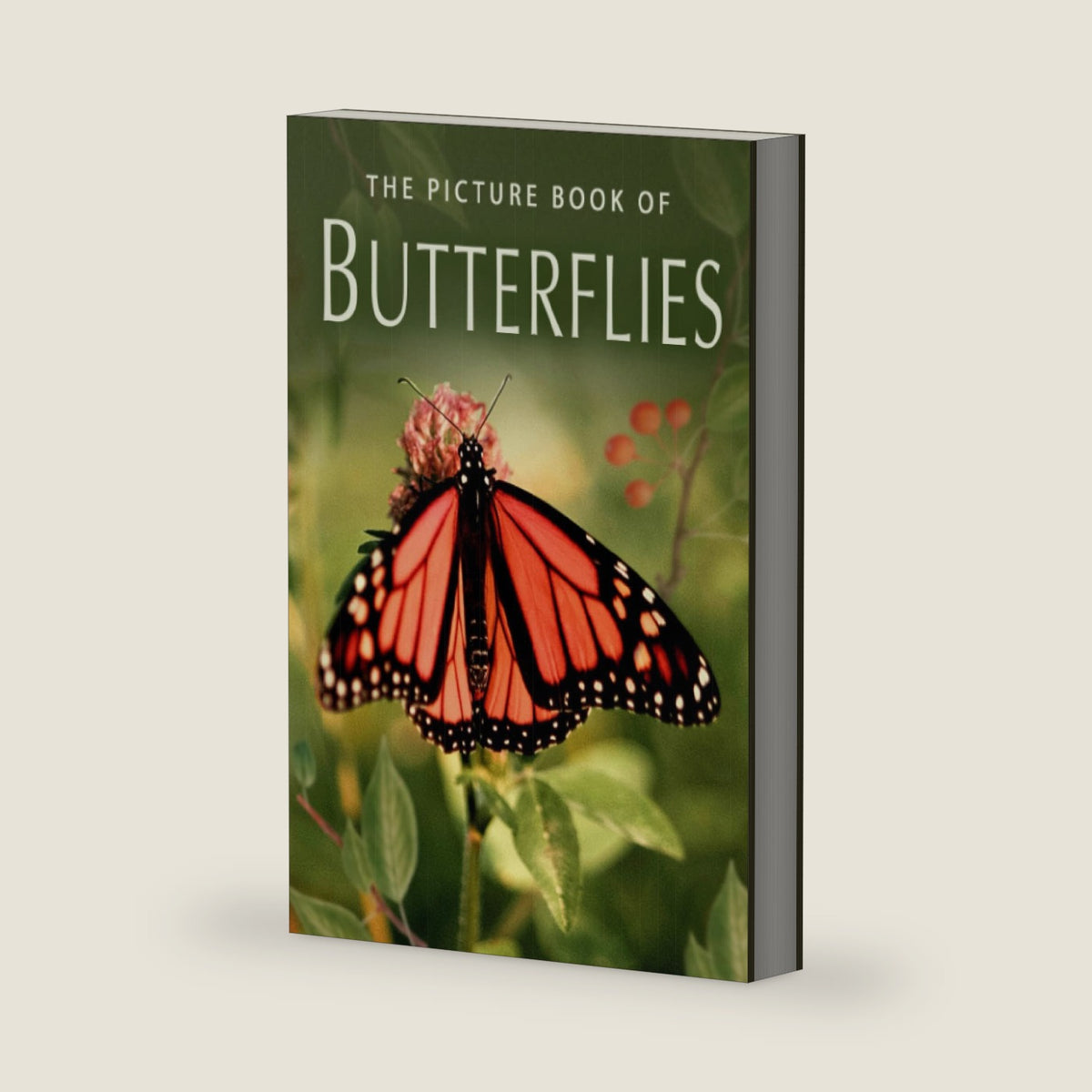 The Picture Book of Butterflies: A Gift Book for Alzheimer's Patients and Seniors with Dementia (Picture Books - Nature) by Sunny Street Books