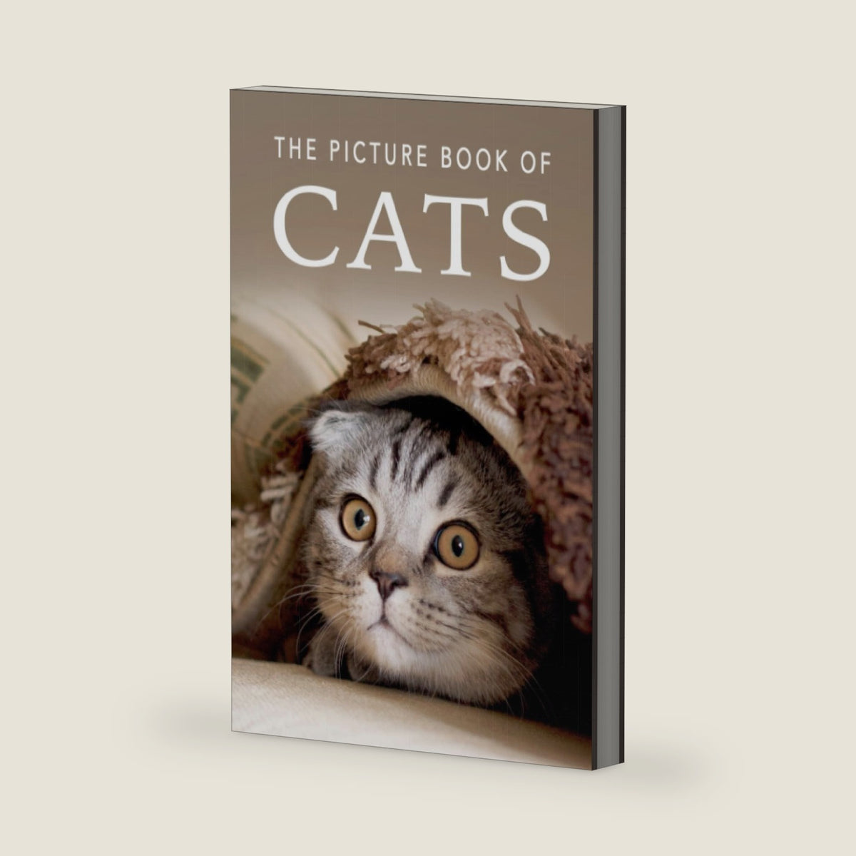 The Picture Book of Cats: A Gift Book for Alzheimer's Patients and Seniors with Dementia (Picture Books - Animals) by Sunny Street Books