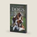 The Picture Book of Dogs: A Gift Book for Alzheimer's Patients and Seniors with Dementia (Picture Books - Animals) by Sunny Street Books