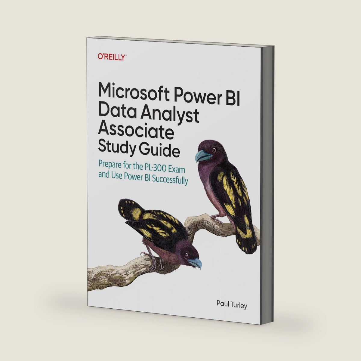 Microsoft Power BI Data Analyst Associate Study Guide: Prepare for the PL-300 Exam and Use Power BI Successfully by Paul Turley