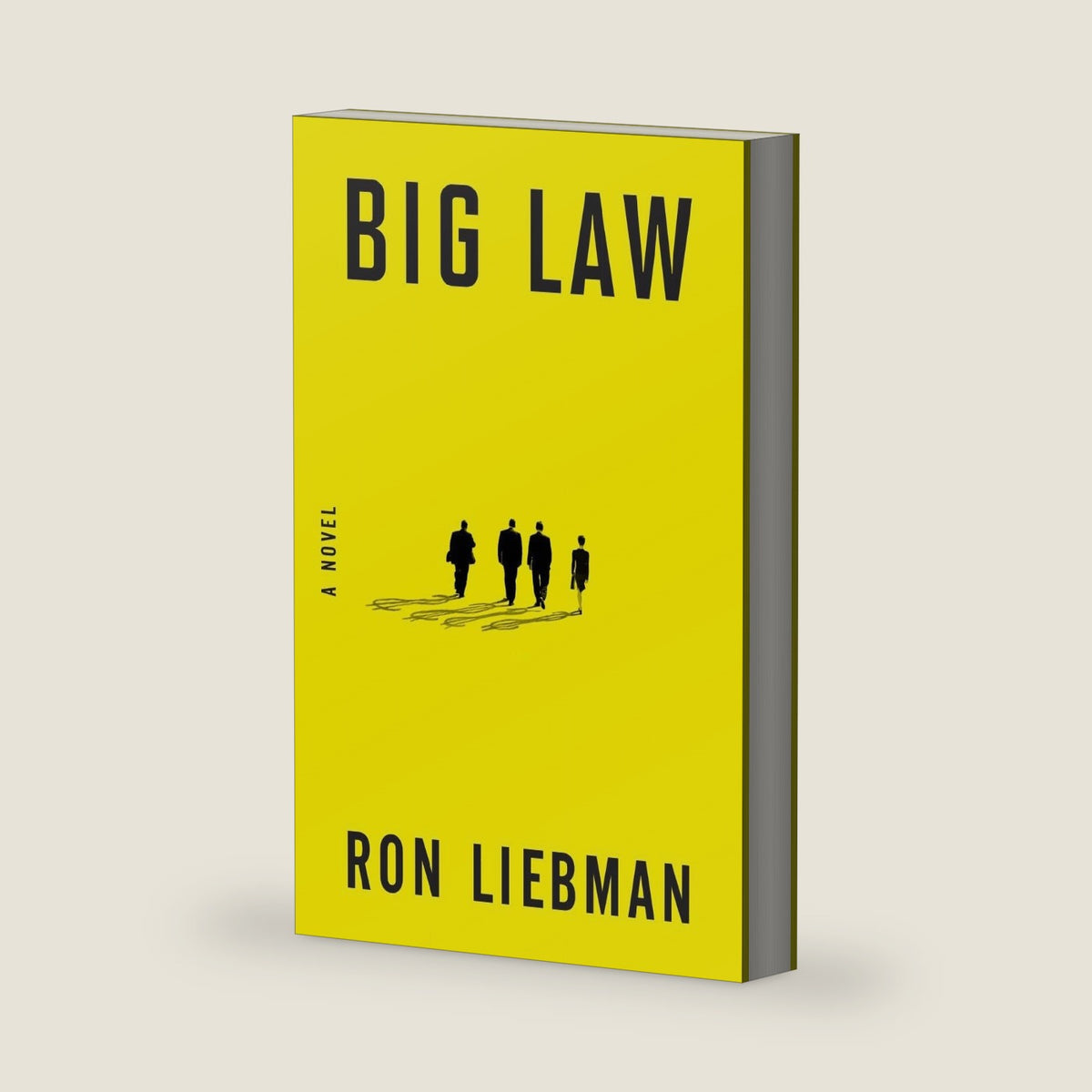 Big Law: A Novel by Ron Liebman