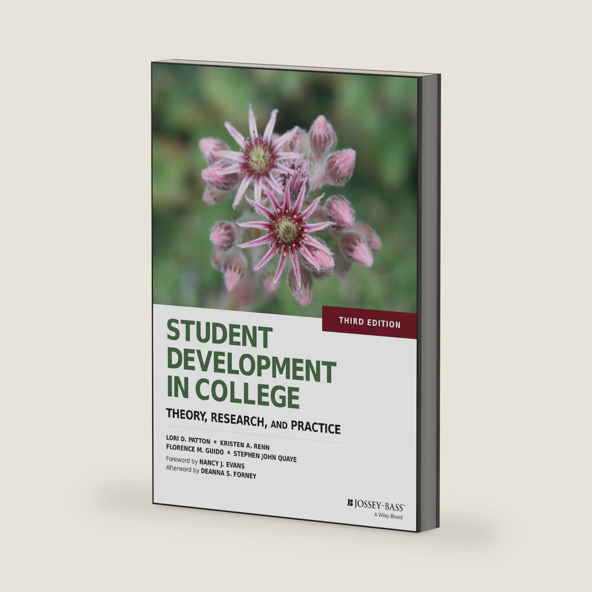 Student Development in College: Theory, Research, and Practice by Lori D. Patton
