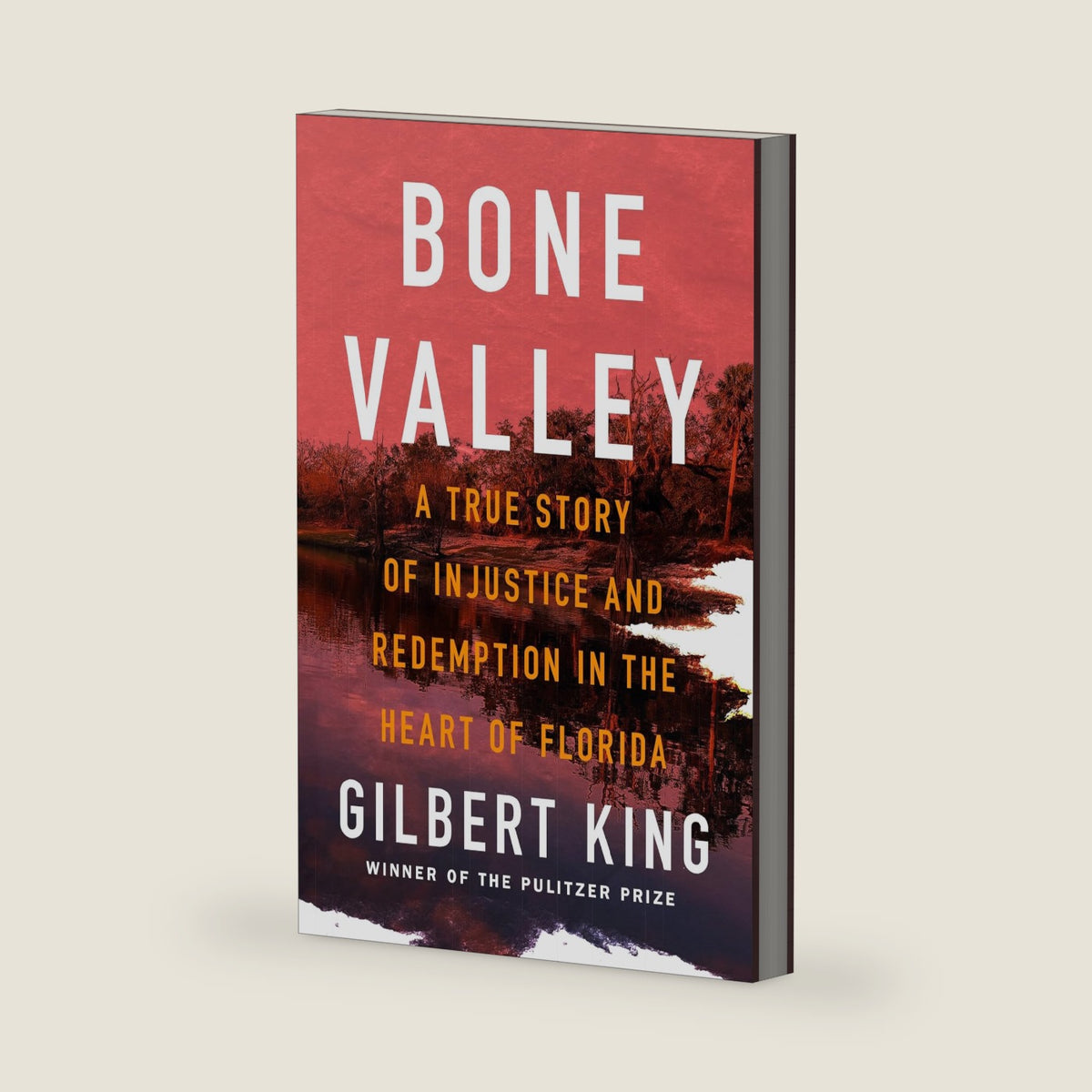 Bone Valley: A True Story of Injustice and Redemption in the Heart of Florida by Gilbert King