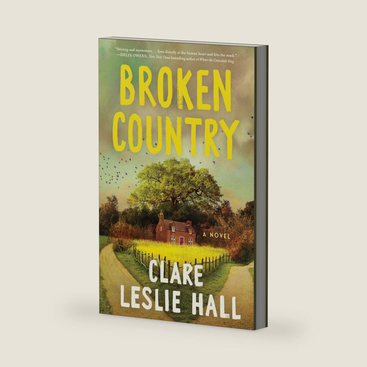 Broken Country: A Novel (Thorndike Press Large Print Top Shelf) by Clare Leslie Hall