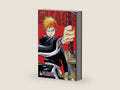 Bleach (3-in-1 Edition), Vol. 1: Includes vols. 1, 2 & 3 by Tite Kubo