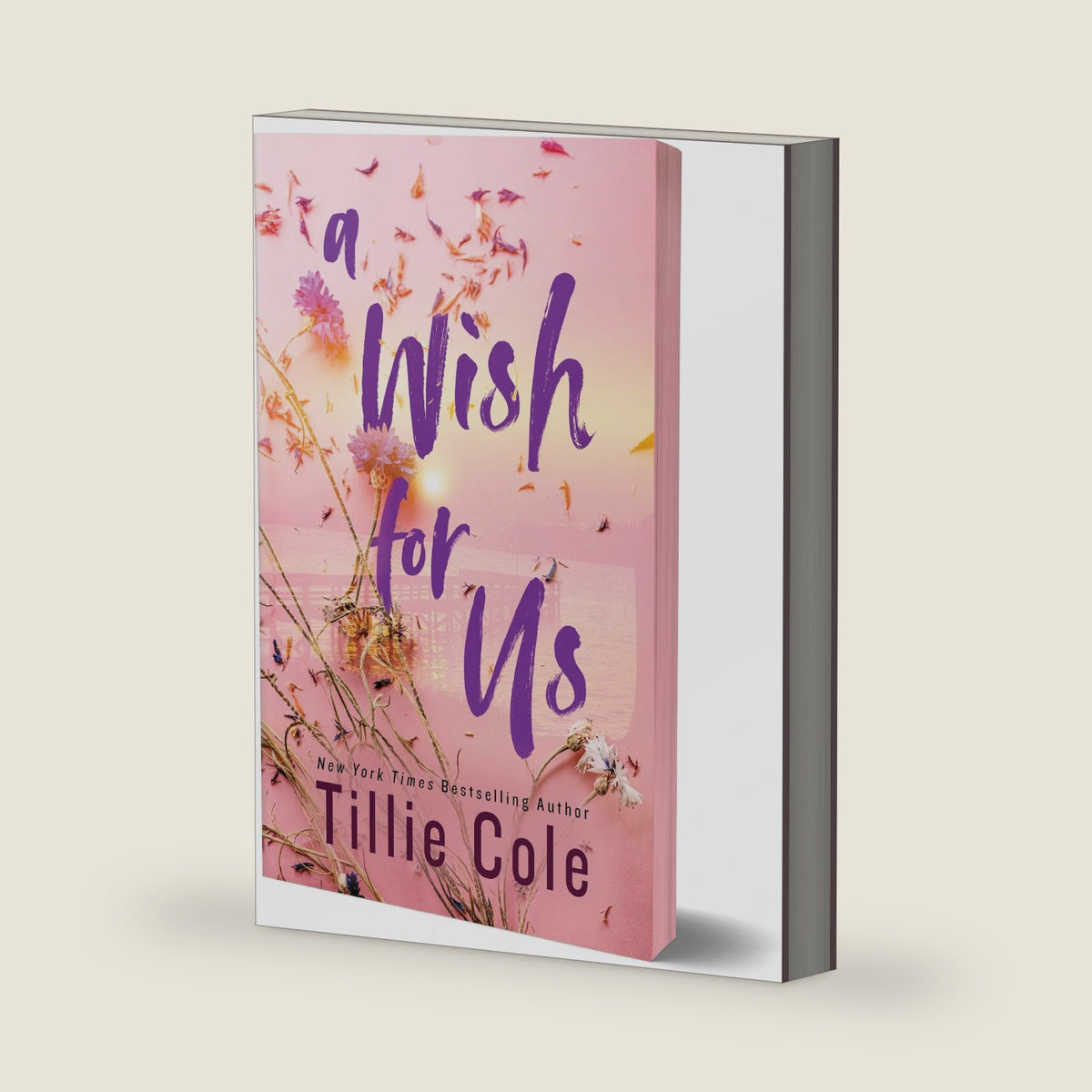 A Wish for Us (Deluxe Edition) by Tillie Cole