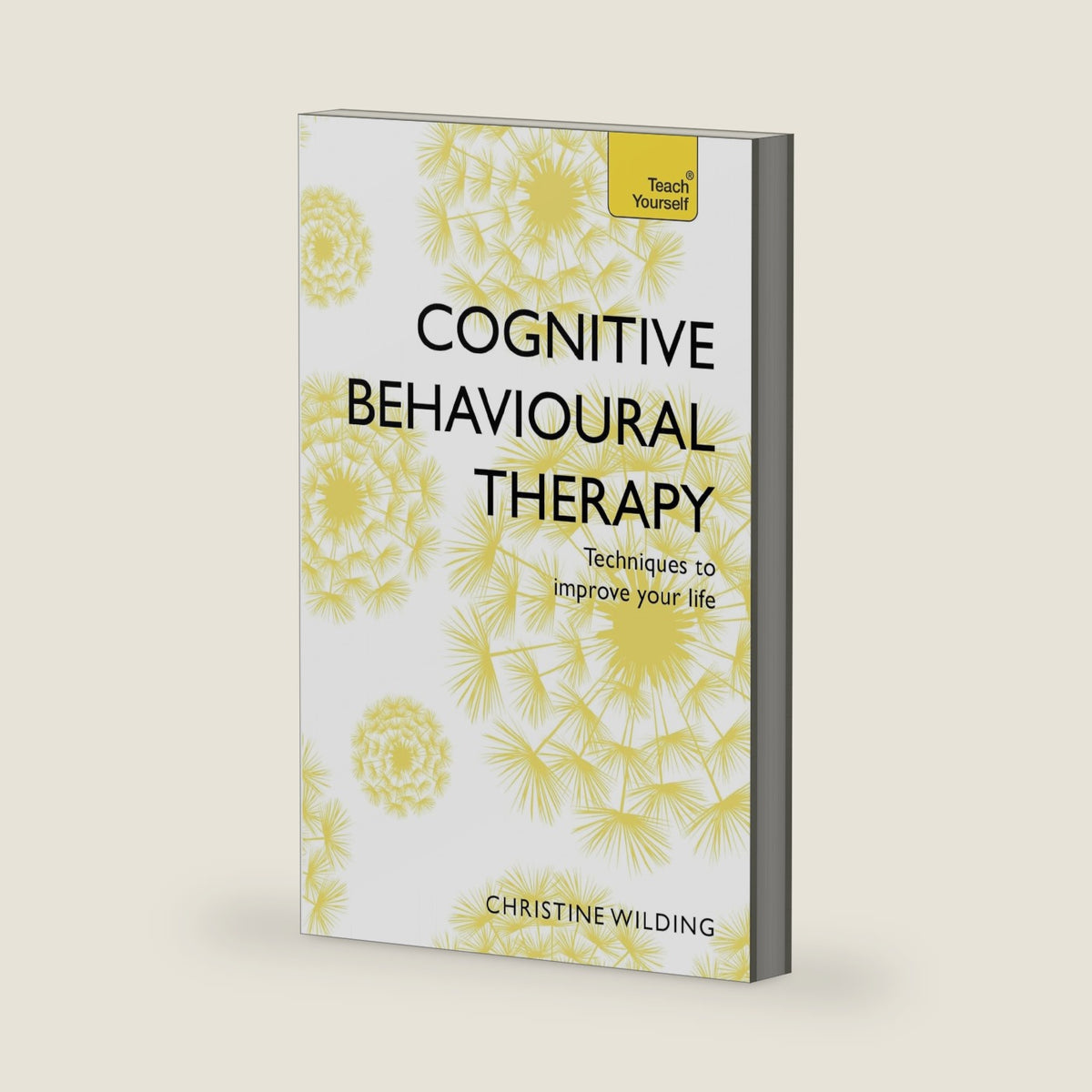 Cognitive Behavioural Therapy (CBT): Teach Yourself by Christine Wilding