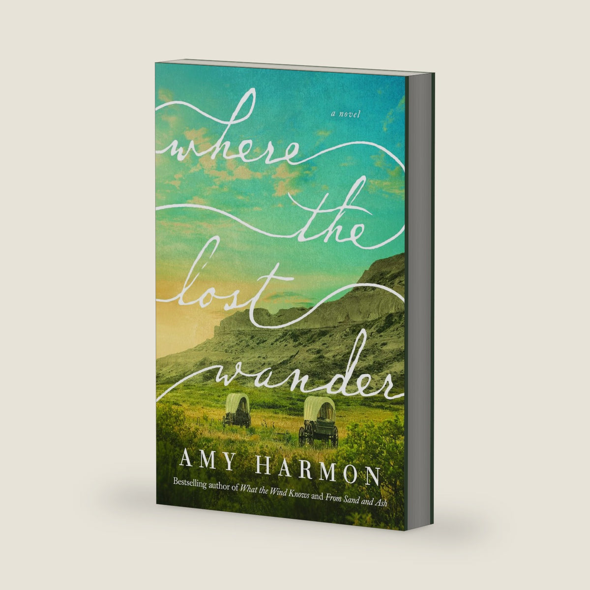 Where the Lost Wander: A Novel by Amy Harmon