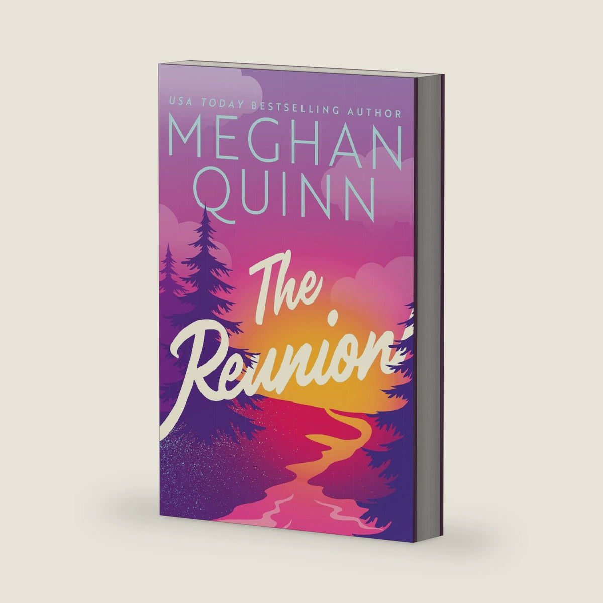 The Reunion by Meghan Quinn