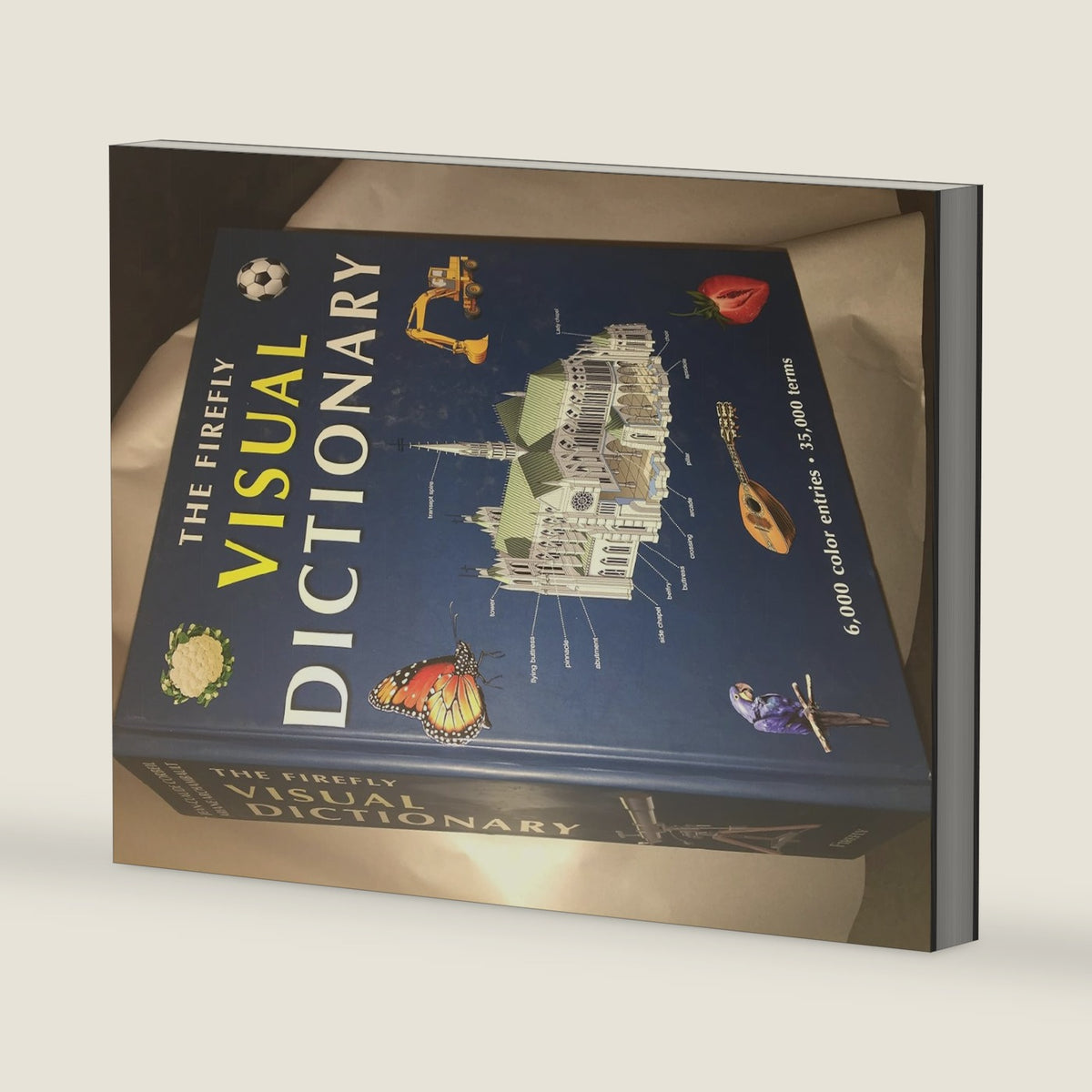 The Firefly Visual Dictionary by Jean-Claude Corbeil