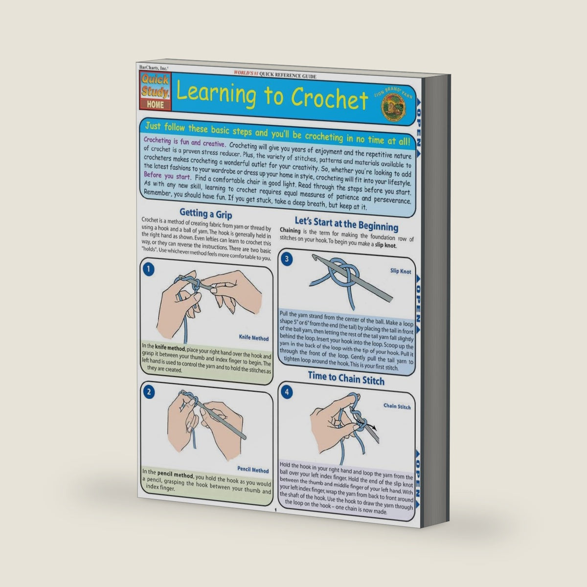 Learning To Crochet (Quick Study Home) by Lisa Drucker