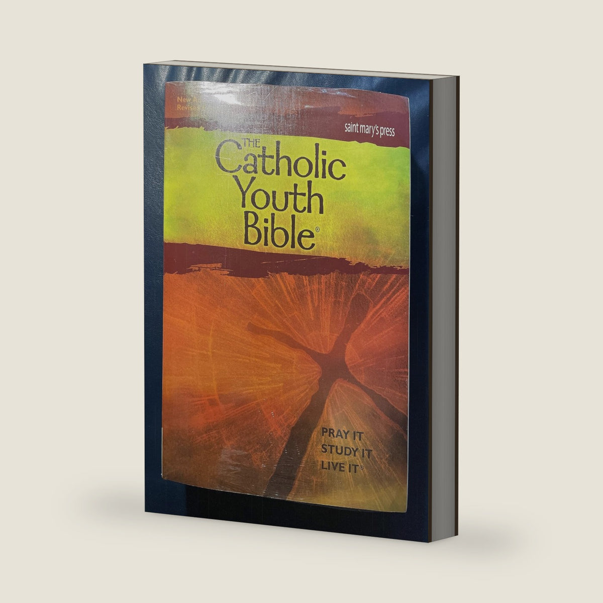 The Catholic Youth Bible,Third Edition, NABRE: New American Bible Revised Edition by Saint Mary's Press